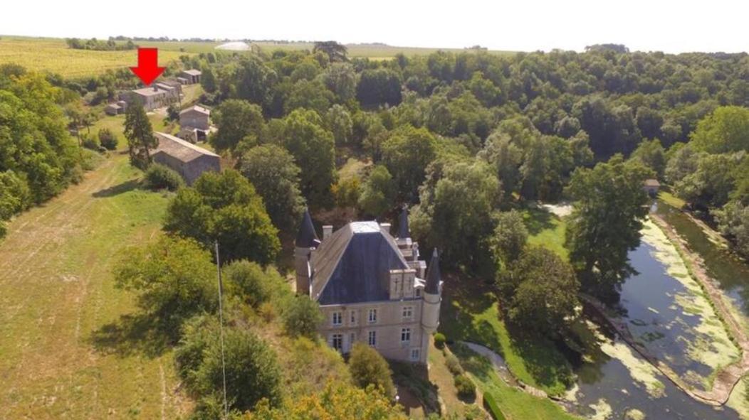 Château des Loups - Les Cèdres Bleus Echire Esterno foto