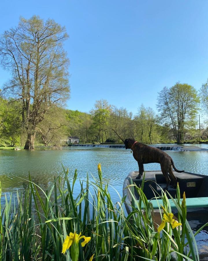 Château des Loups - Les Cèdres Bleus Echire Esterno foto