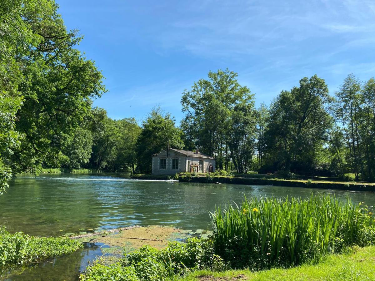 Château des Loups - Les Cèdres Bleus Echire Esterno foto